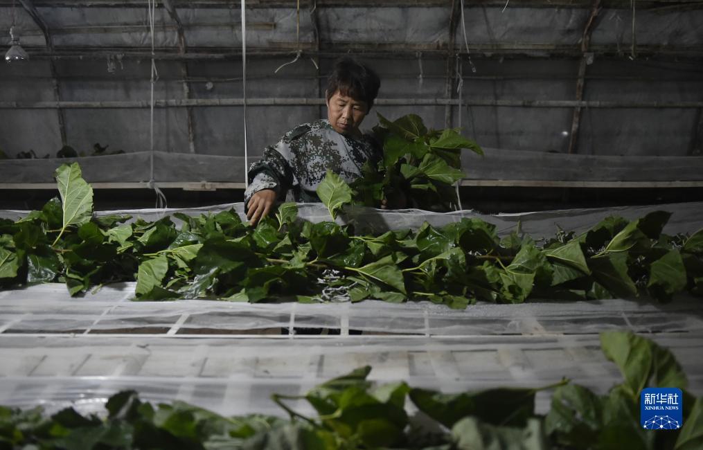 斗牛游戏大平台